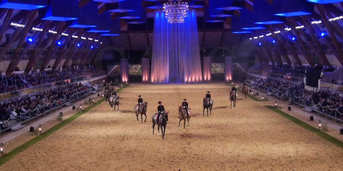 cadre noir de saumur, cheval et équitation à proximité du gite bleu dans le maine et loire en France